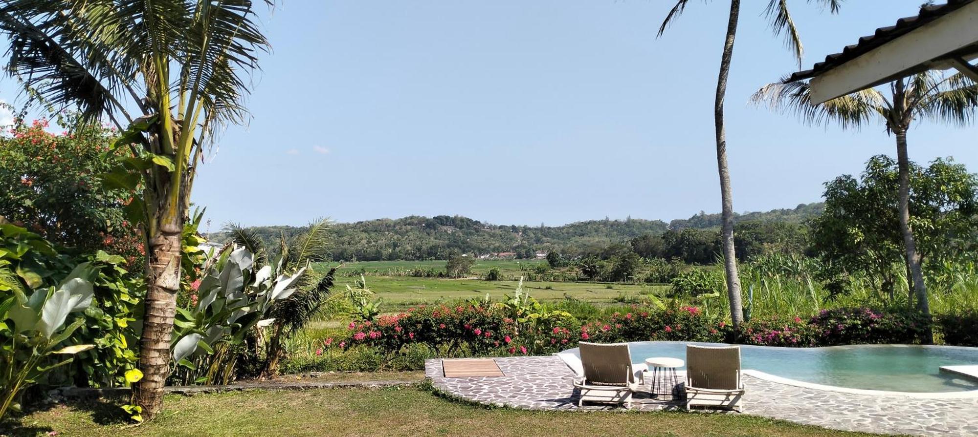 Sunmoonstarvillas Yogyakarta Jarakan Экстерьер фото